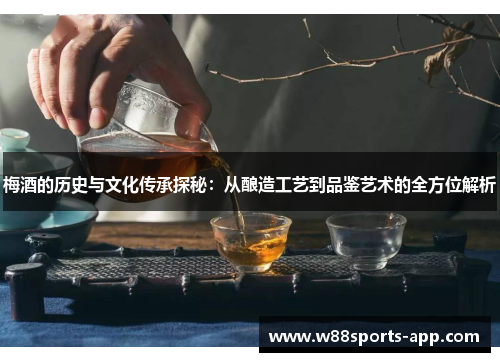 梅酒的历史与文化传承探秘：从酿造工艺到品鉴艺术的全方位解析