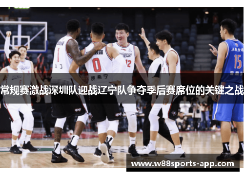 常规赛激战深圳队迎战辽宁队争夺季后赛席位的关键之战
